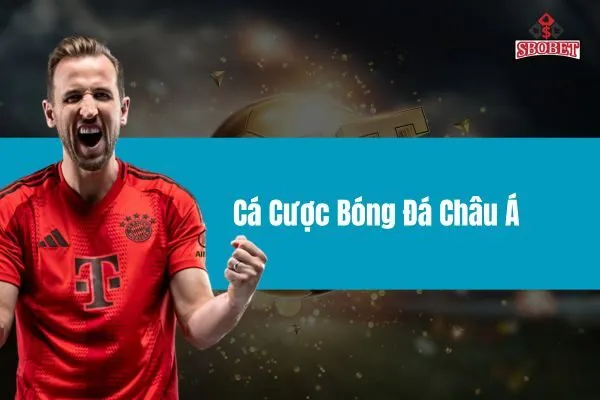 Cá Cược Bóng Đá Châu Á