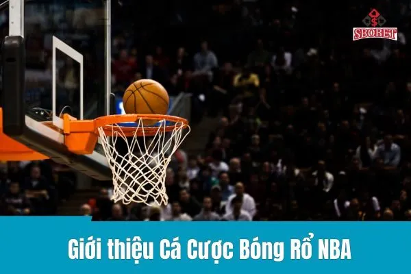 Cá Cược Bóng Rổ NBA