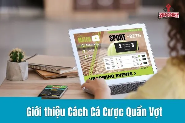 Cá Cược Quần Vợt