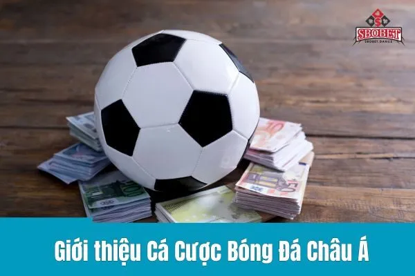 Cá Cược Bóng Đá Châu Á