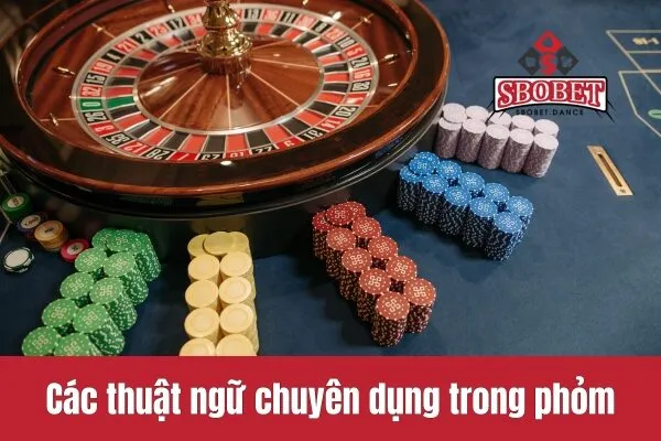 Các thuật ngữ chuyên dụng trong chơi bài phỏm