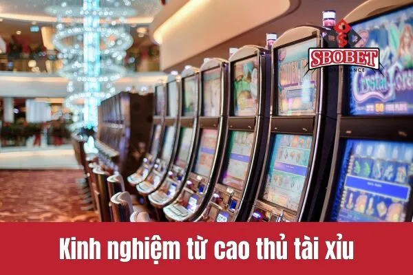 Kinh nghiệm từ cao thủ tài xỉu