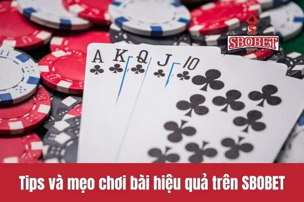 Tips và mẹo chơi bài hiệu quả trên SBOBET