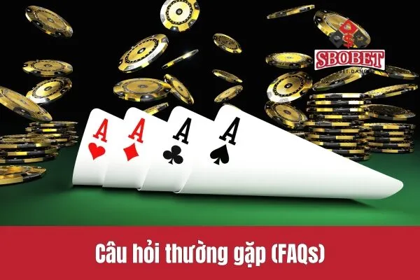 Câu hỏi thường gặp (FAQs)