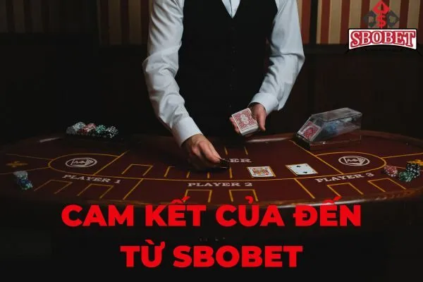 Cam kết đến từ sbobet