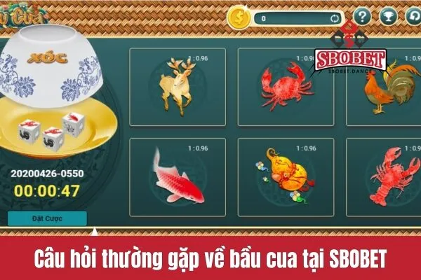 Câu hỏi thường gặp về bầu cua tại SBOBET