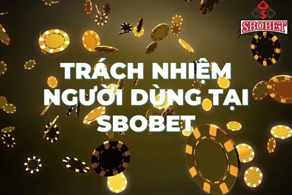 Trách nhiệm của người dùng tại sbobet